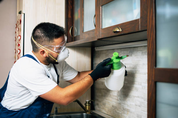 Best Bed Bug Extermination  in East Lake, FL