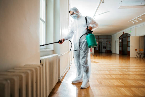 Best Pest Control for Homes  in East Lake, FL