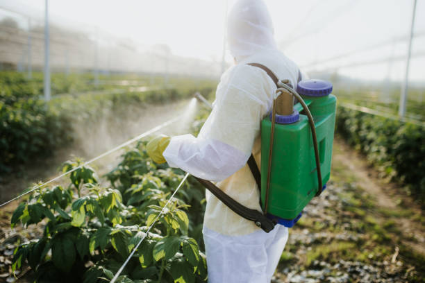 Best Mosquito Control Services  in East Lake, FL